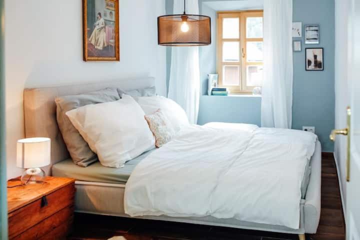 Apartment Aussee- Beletage Salzherrenhof- Kueche, Wlan, Netflix Bad Aussee Exterior photo